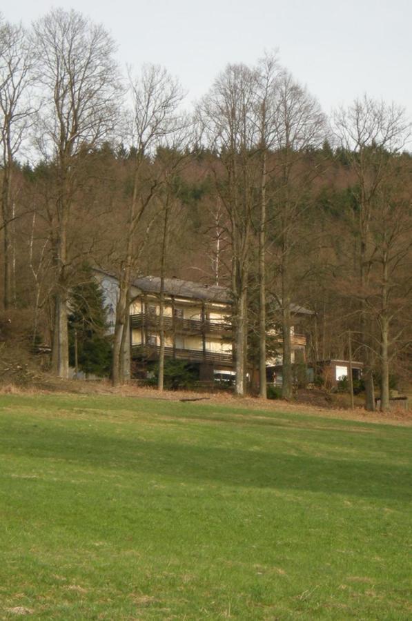 Ferienhaus Napoleon Waldmünchen Kültér fotó